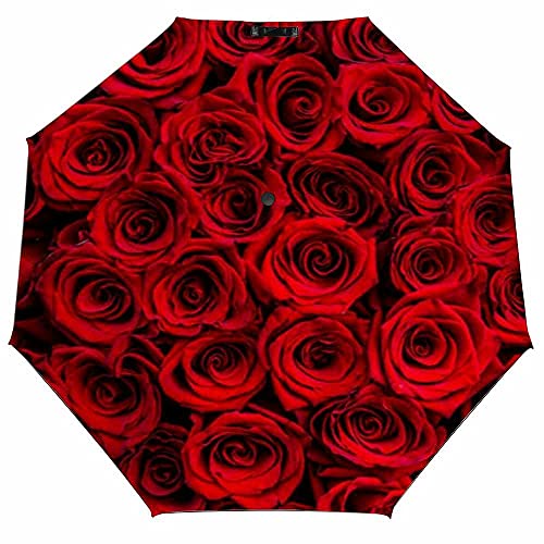Fresh Dark Red Roses