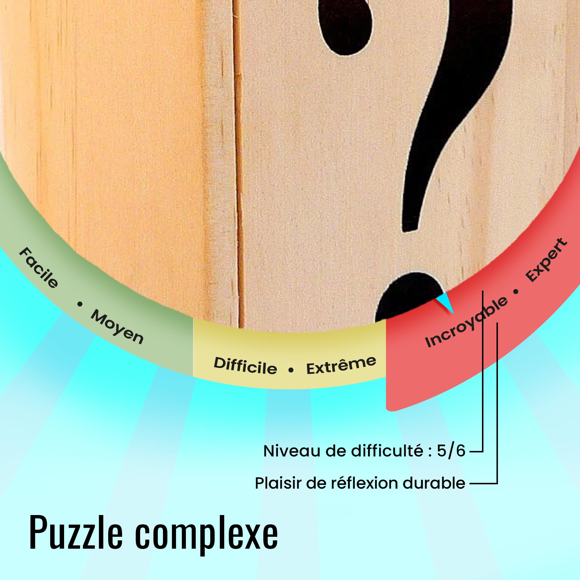 Logic Puzzle Wooden Box - Secret Box Collection Leonardo da Vinci - Level 5/6 Difficulty Brain Teaser - Perfect for Family Game Night & Intellectual Challenges