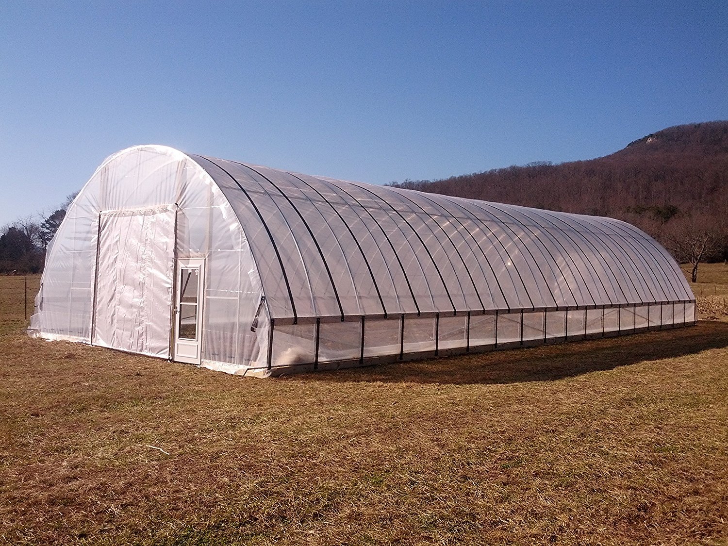 Wilson Orchard & Vineyard Supply Clear Greenhouse Film - 6 mil Thick, 4-Year UV Resistant Polyethylene Plastic Cover (20ft x 50ft) for Gardening, Plant Protection & Commercial Farming
