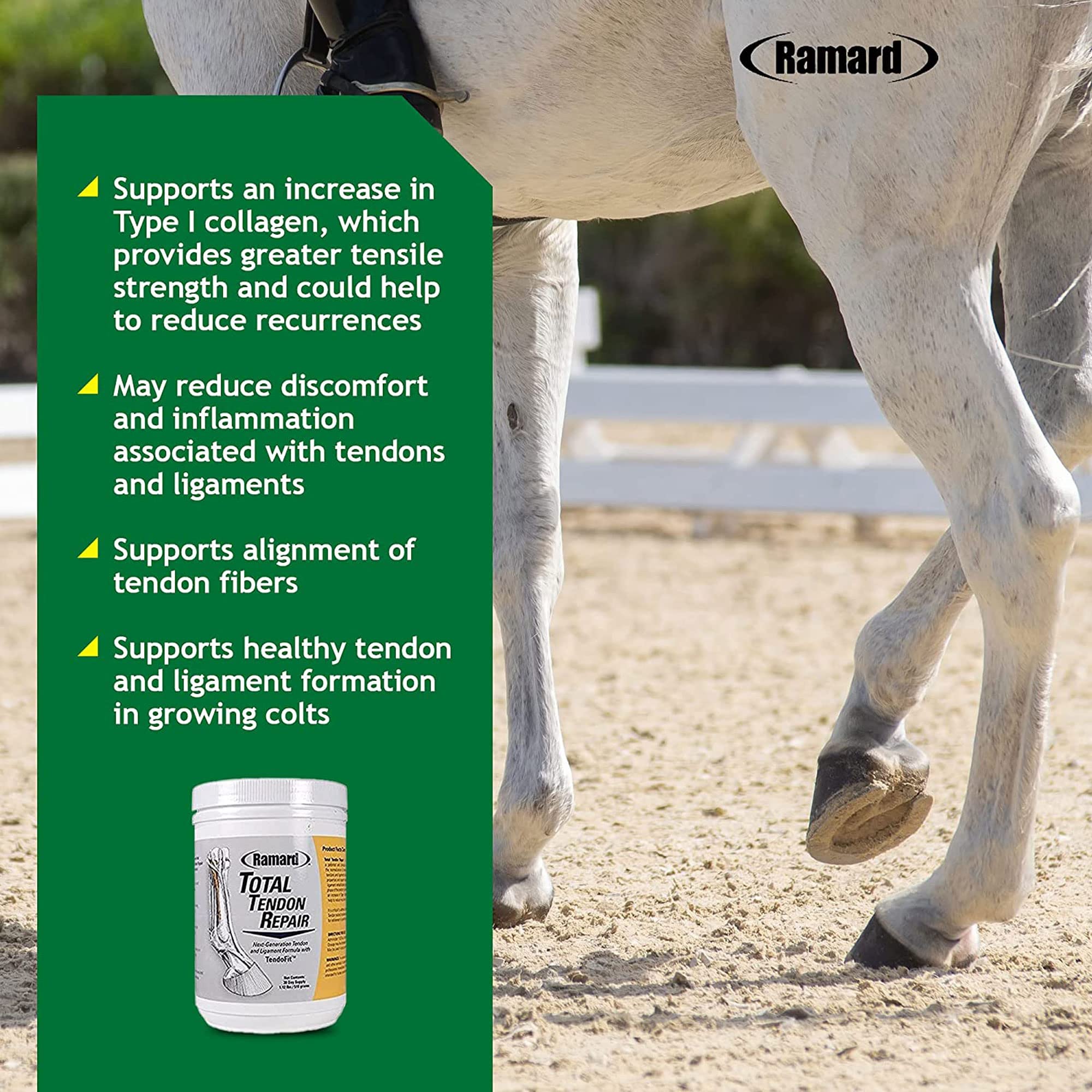 Total Tendon Repair Powder Supplement for Horses – Advanced Formula with Vitamin C, Collagen & MSM for Joint, Ligament & Tendon Support – Promotes Elasticity & Strength – 30 Day Supply – Ideal for Performance Horses & Recovery