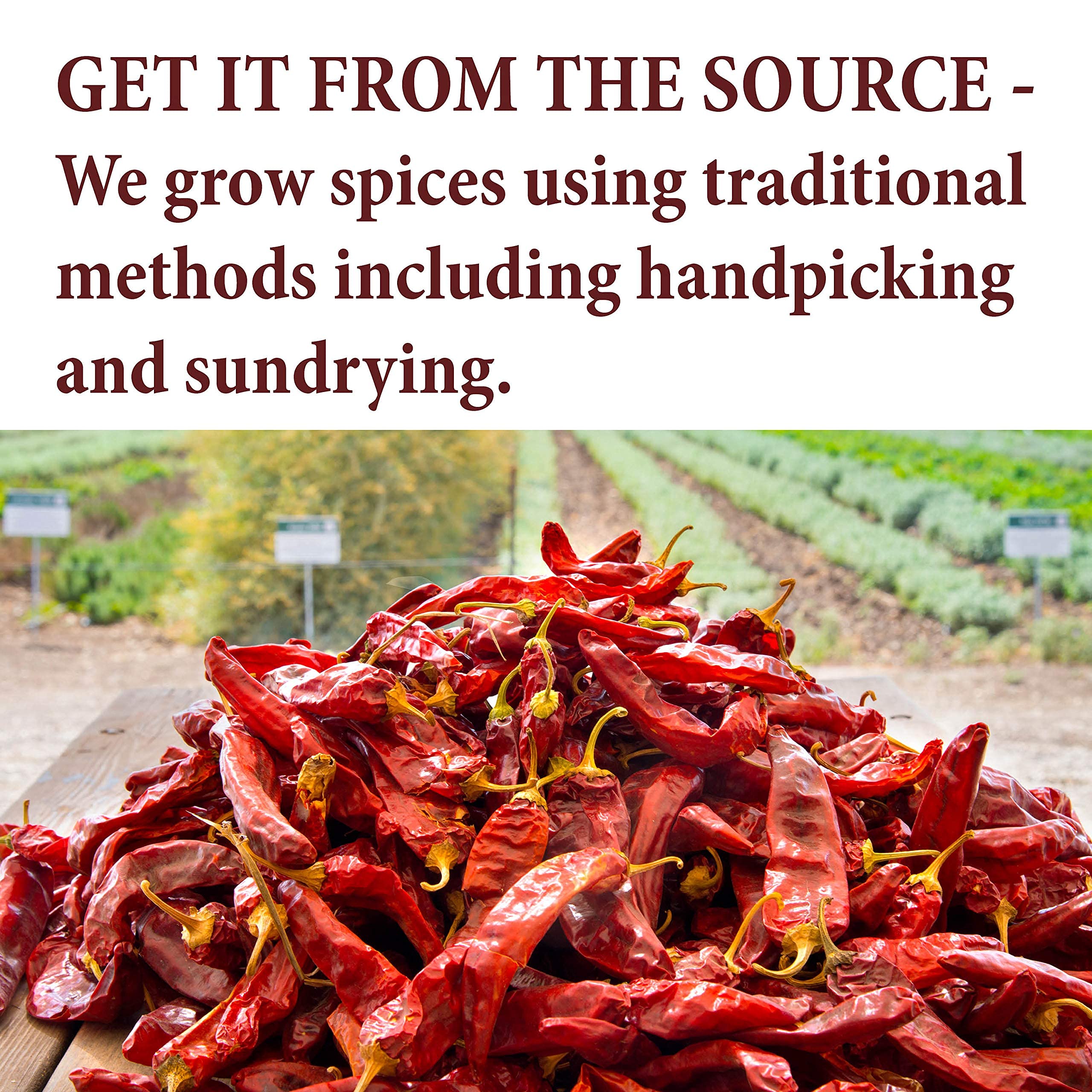Premium Ground Chipotle Powder - 4 oz Resealable Bag | Smoky & Spicy Mexican Chili Pepper | Perfect for BBQ, Tacos, Chili & Seasoning | The Spice Way