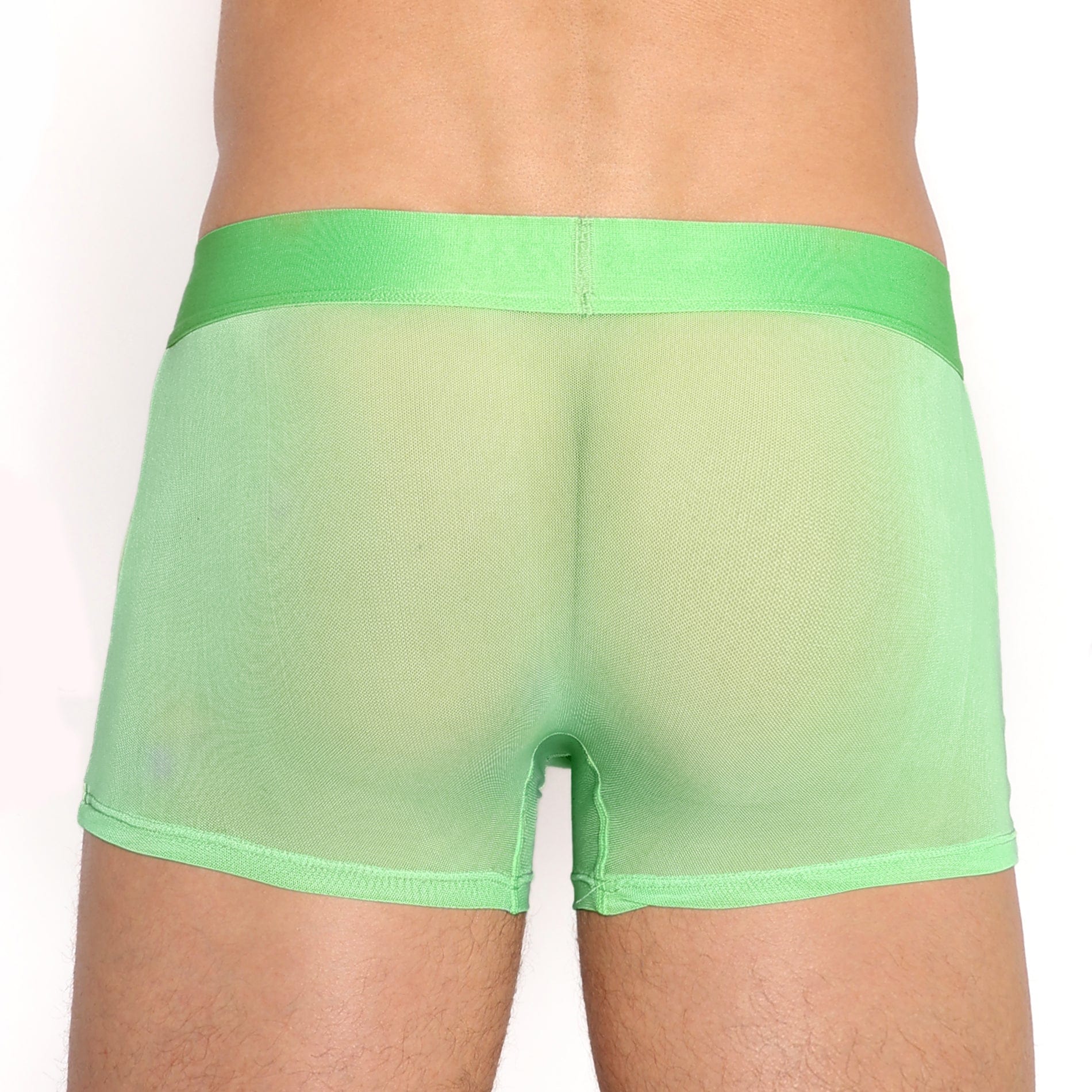 Just The Bones Sheer Trunk Sea Foam - Comfortable Women's Underwear for Everyday Wear, Sleep & Lounge