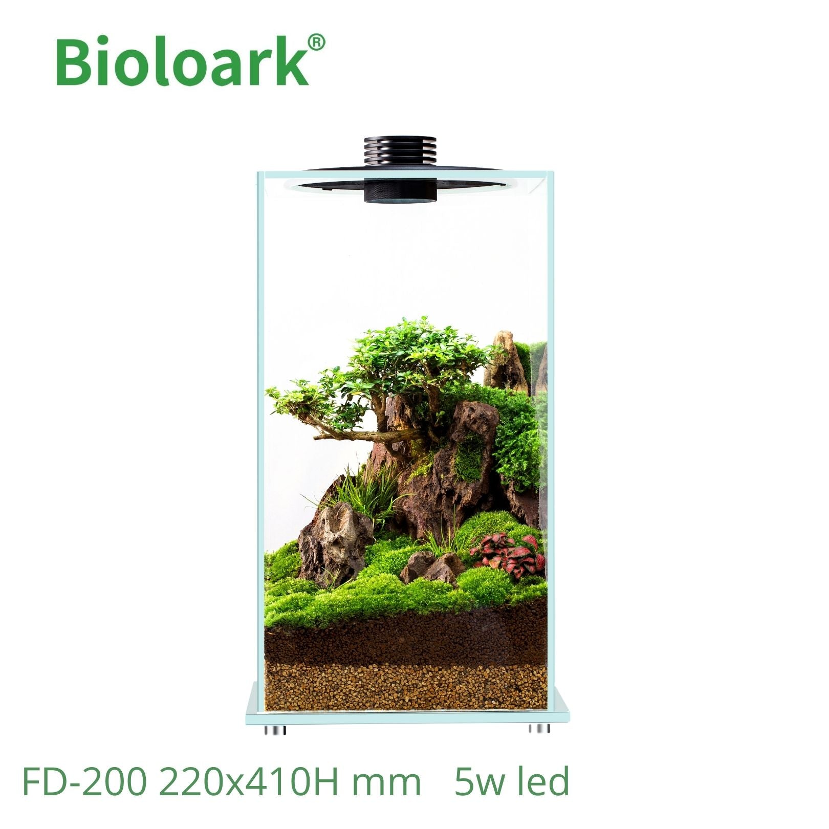 Bioloark Enclosed Terrarium Tank - Glass Habitat for Plants & Reptiles (FD 200 / FD 250) | Perfect for Indoor Gardening, Gecko & Frog Terrariums, Home Decor
