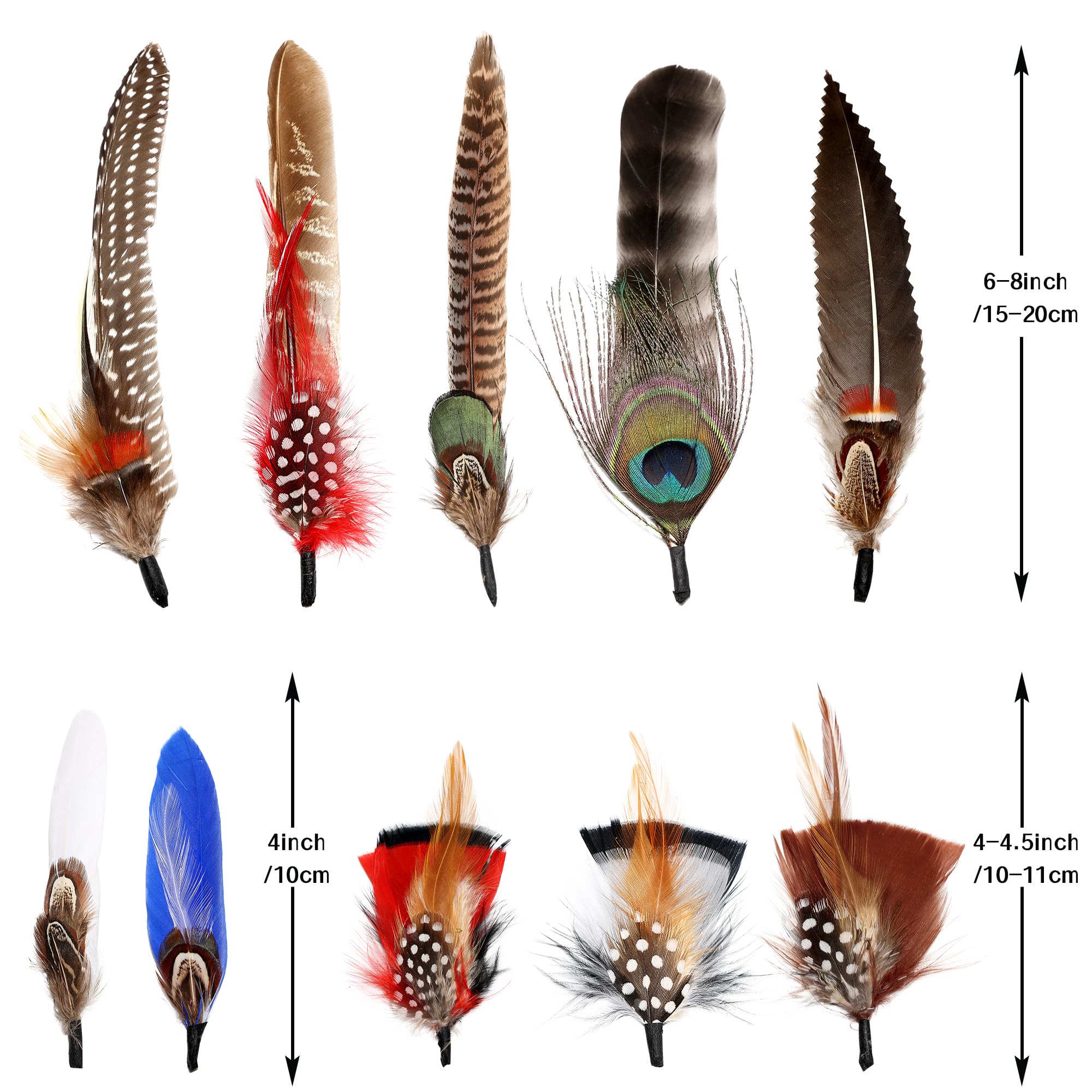 10 Styles Natural Feathers for Hats - DIY Fedora, Cowboy & Party Hat Accessories - Perfect for Western Costumes, Oktoberfest & Christmas Celebrations