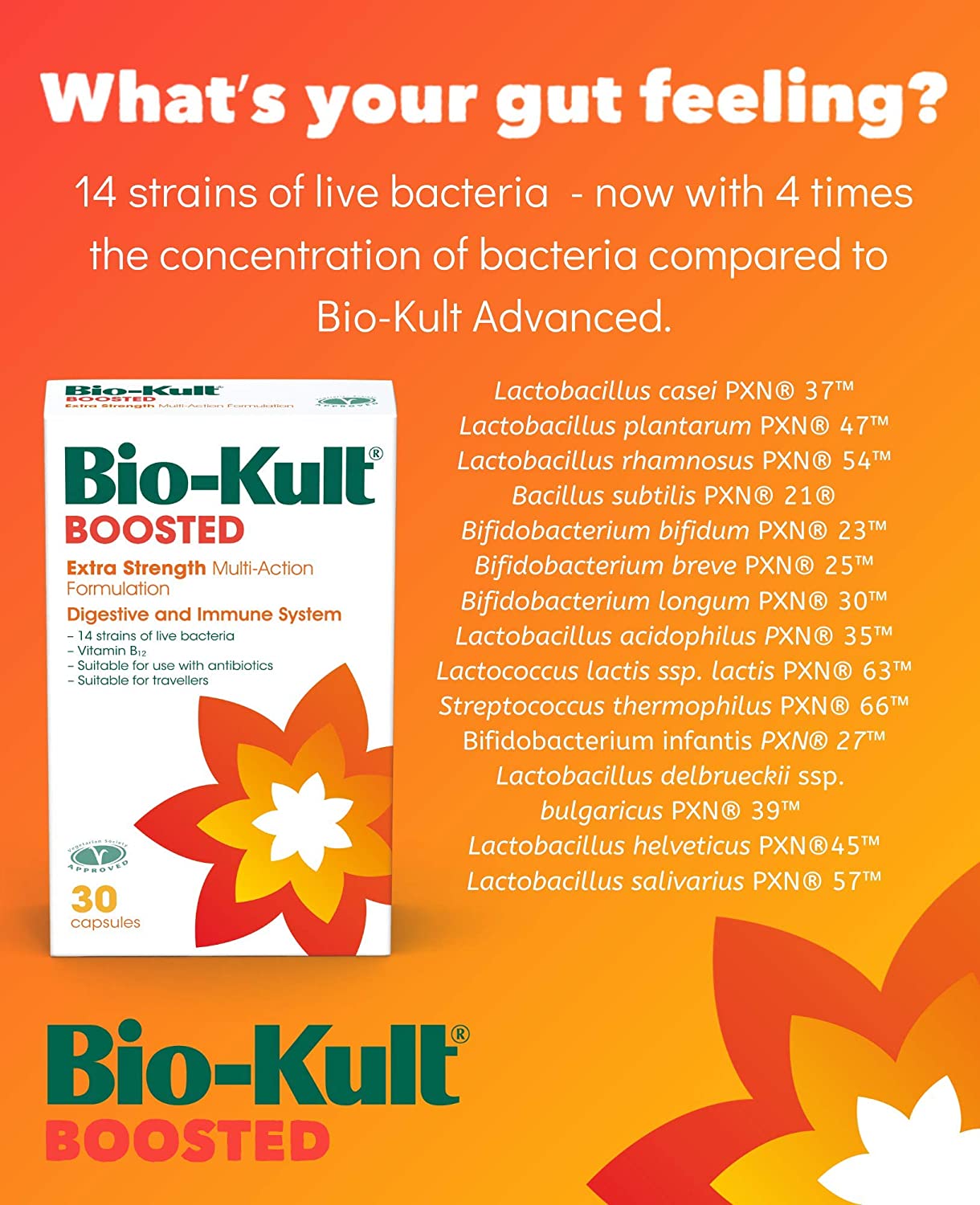 Bio Kult Boosted Extra Strength Multi-Action Probiotic Supplement - 30 Capsules for Gut Health, Digestion & Immune Support - Perfect for Daily Wellness & Travel