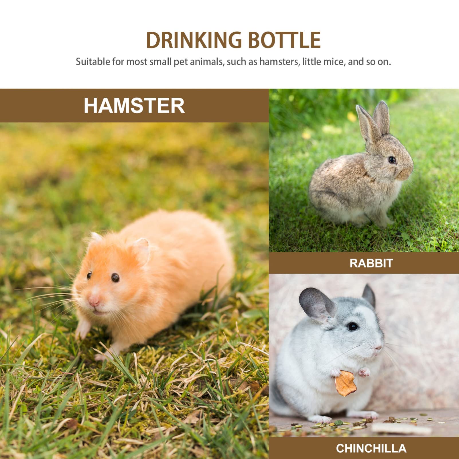 **No Drip Glass Water Bottle for Small Pets - 350ml Hanging Water Dispenser for Hamsters, Guinea Pigs, Rabbits, Ferrets, Hedgehogs & Chinchillas (2-Pack) - Perfect for Cages, Travel & Daily Hydration**