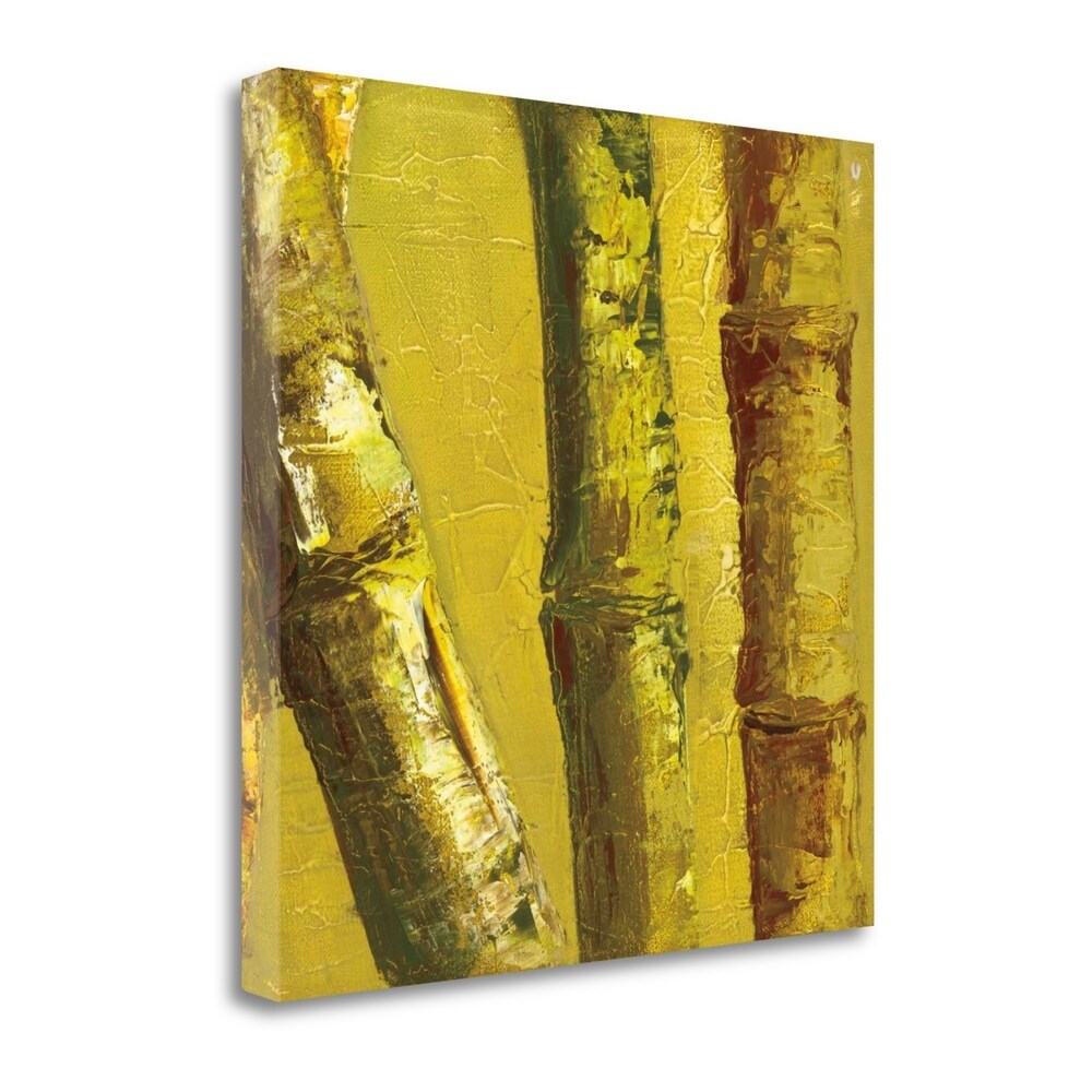 Bamboo Columbia IV by Tita Quintero - Premium Giclee Art Print on Gallery Wrapped Canvas, Ready to Hang Wall Decor for Living Room, Bedroom & Office