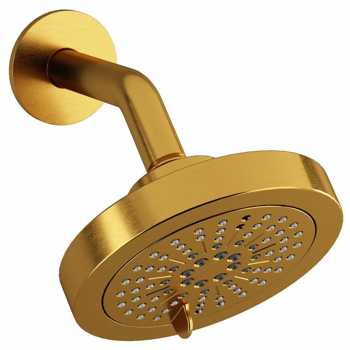 6-Function Round Showerhead with Adjustable Arm - Brushed Gold Finish (Model 366BG RIOBEL) for Luxurious Bathroom Upgrade & Spa-Like Shower Experience