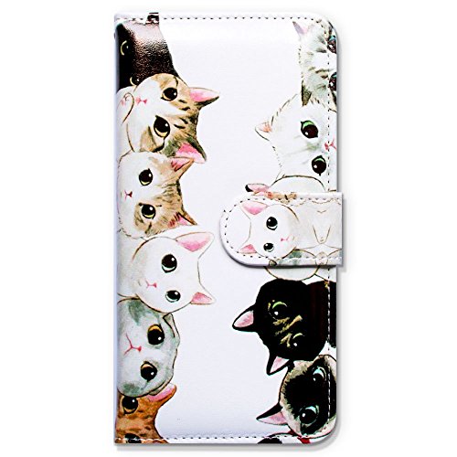 White Black Cute Cats