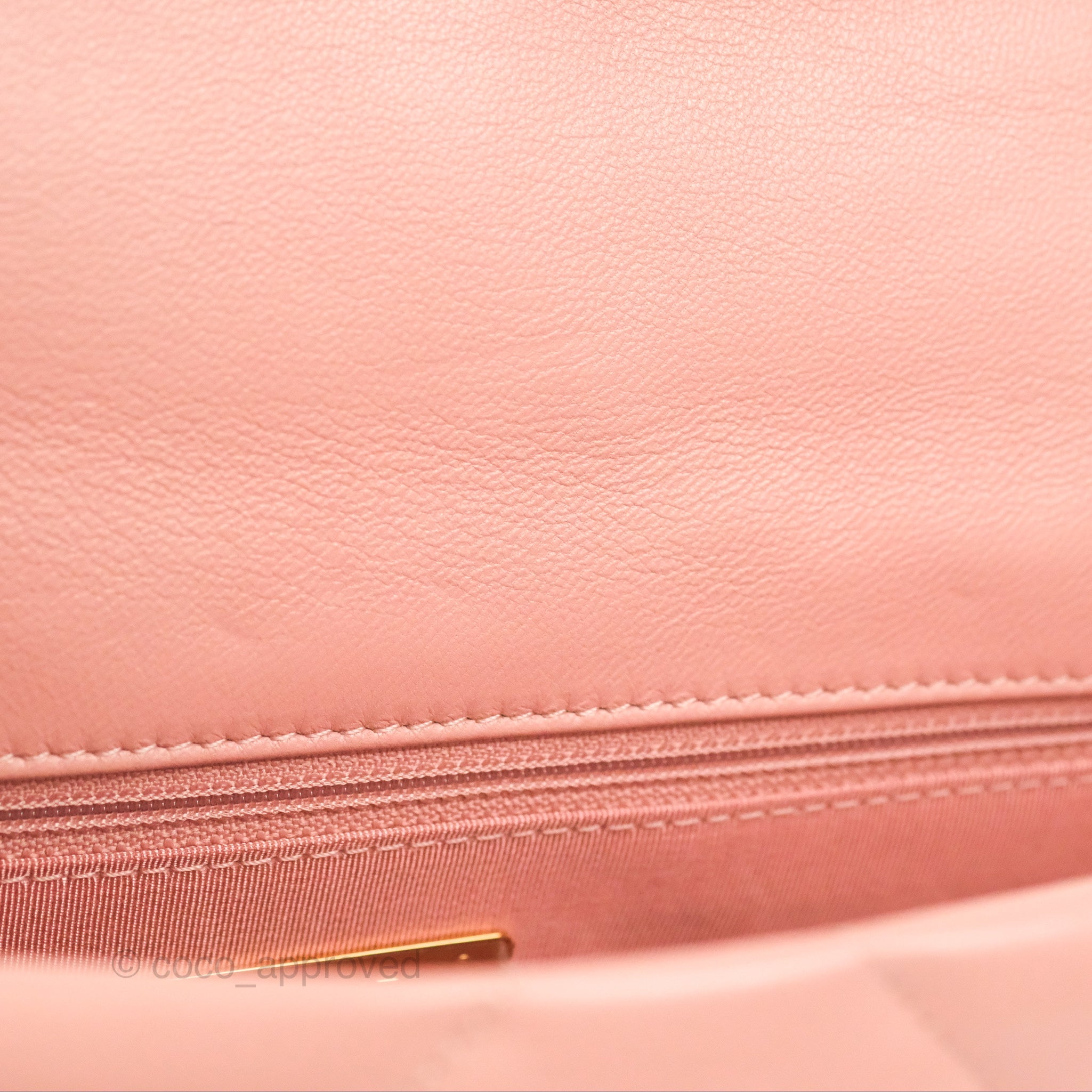 Chanel 19 Small Handbag in Blush Pink Goatskin Leather with Mixed Hardware - Perfect for Everyday Luxury & Special Occasions