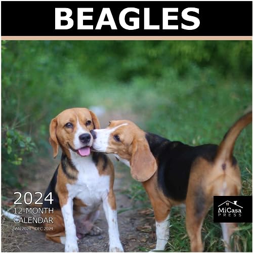 14 - Beagles