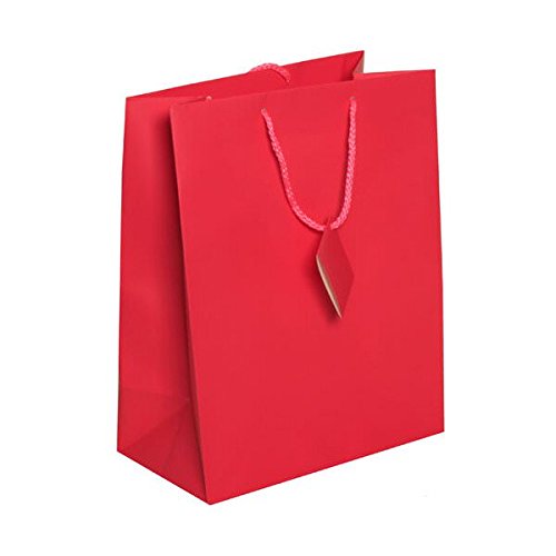 JAM Paper Large Gift Bags with Rope Handles 10x13x5 Inches - Hot Pink Matte Finish - Bulk Pack of 100 - Perfect for Birthday Parties, Weddings & Corporate Events