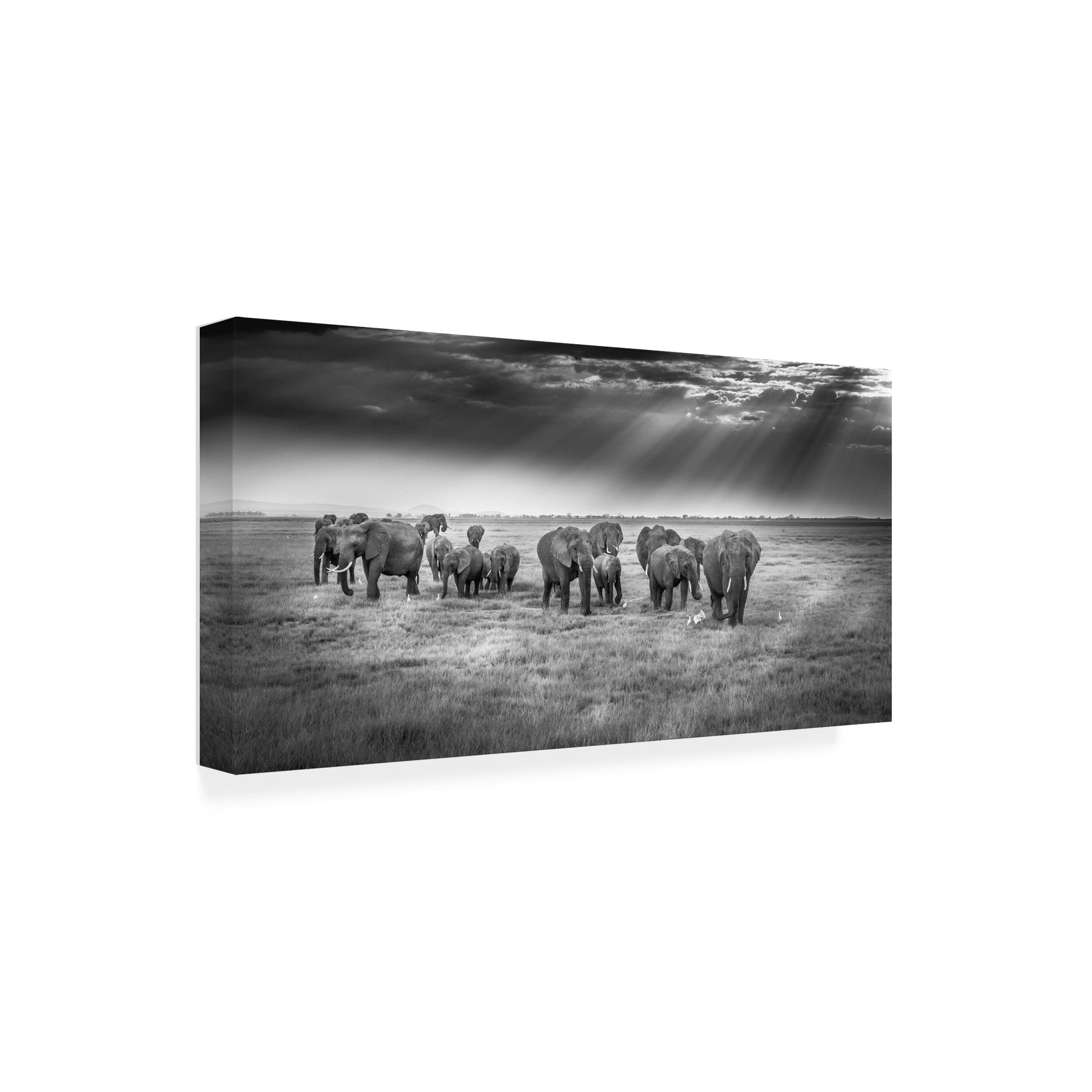 Trademark Fine Art 'Breakfast With Pachyderms' Elephant Canvas Wall Art by Jeffrey C Sink - Perfect for Living Room, Bedroom & Office Decor