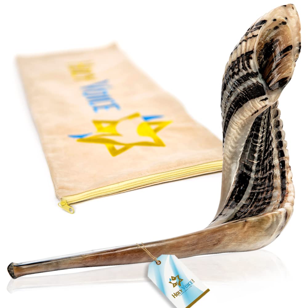 Handmade Kosher Ram Shofar from Israel - 18