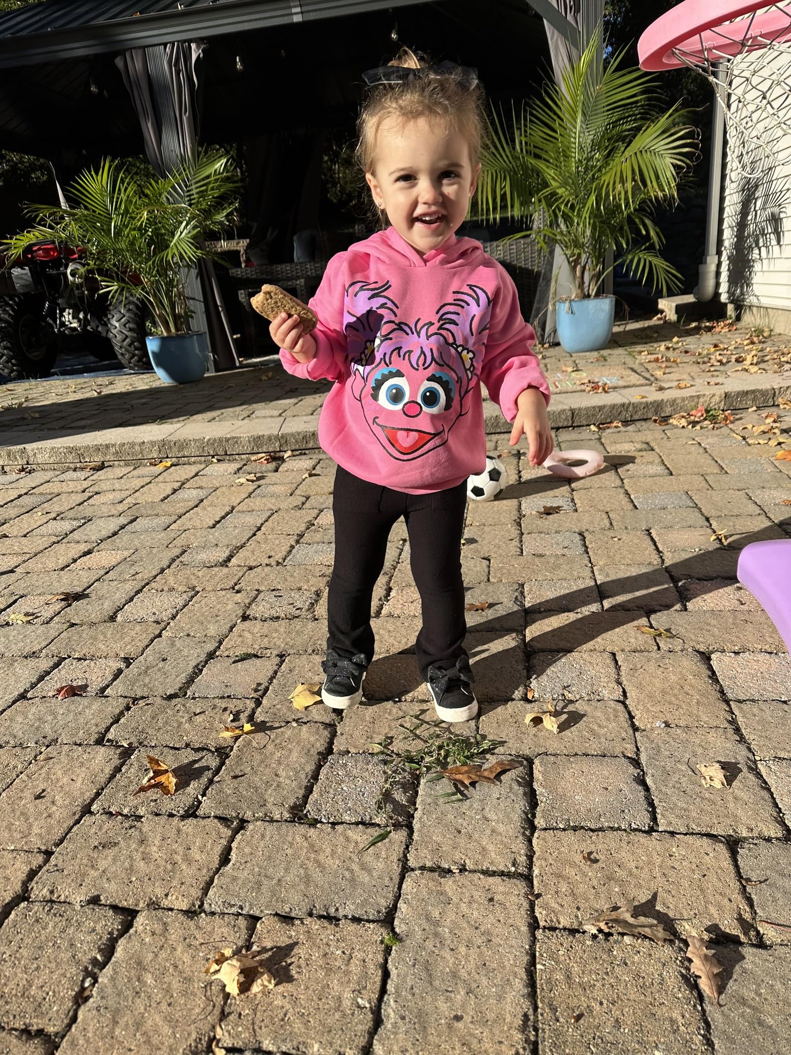 Sesame Street Abby Cadabby Elmo Big Bird Cookie Monster Oscar The Grouch Pullover Hoodie for Kids - Soft Cotton Sweatshirt for Infants & Toddlers (1-5 Years) - Perfect for Playdates, Preschool & Family Outings