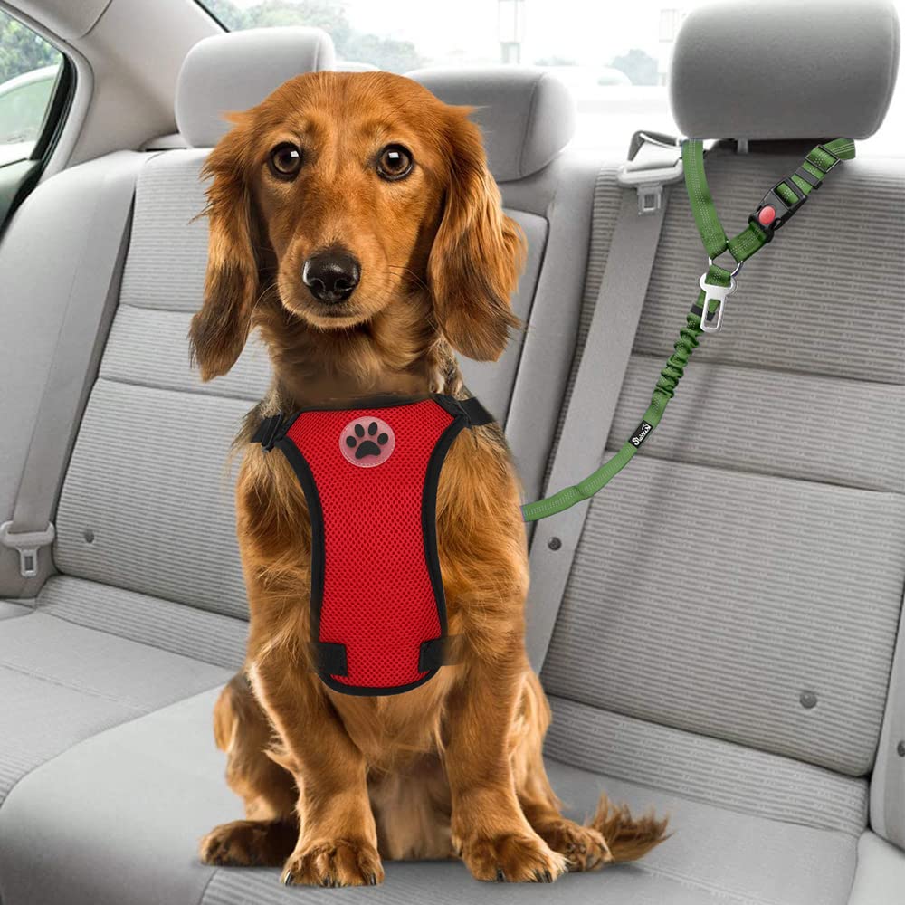 SlowTon Adjustable Dog Seat Belt for Cars - 2 Pack Pet Safety Harness with Elastic Bungee Buffer & Reflective Tether | Headrest + Clip Attachment | Perfect for Road Trips & Daily Commutes (Green)