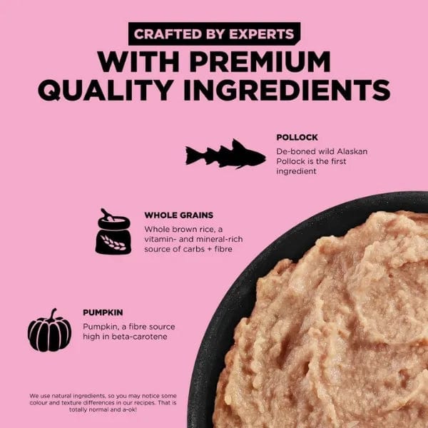 Go! Solutions Skin & Coat Care Pollock Pate with Grains Wet Dog Food 12.5oz - Healthy Skin & Shiny Coat Formula for Dogs, Perfect for Sensitive Stomachs & Allergies | Great for Mealtime, Training Treats & Senior Dogs