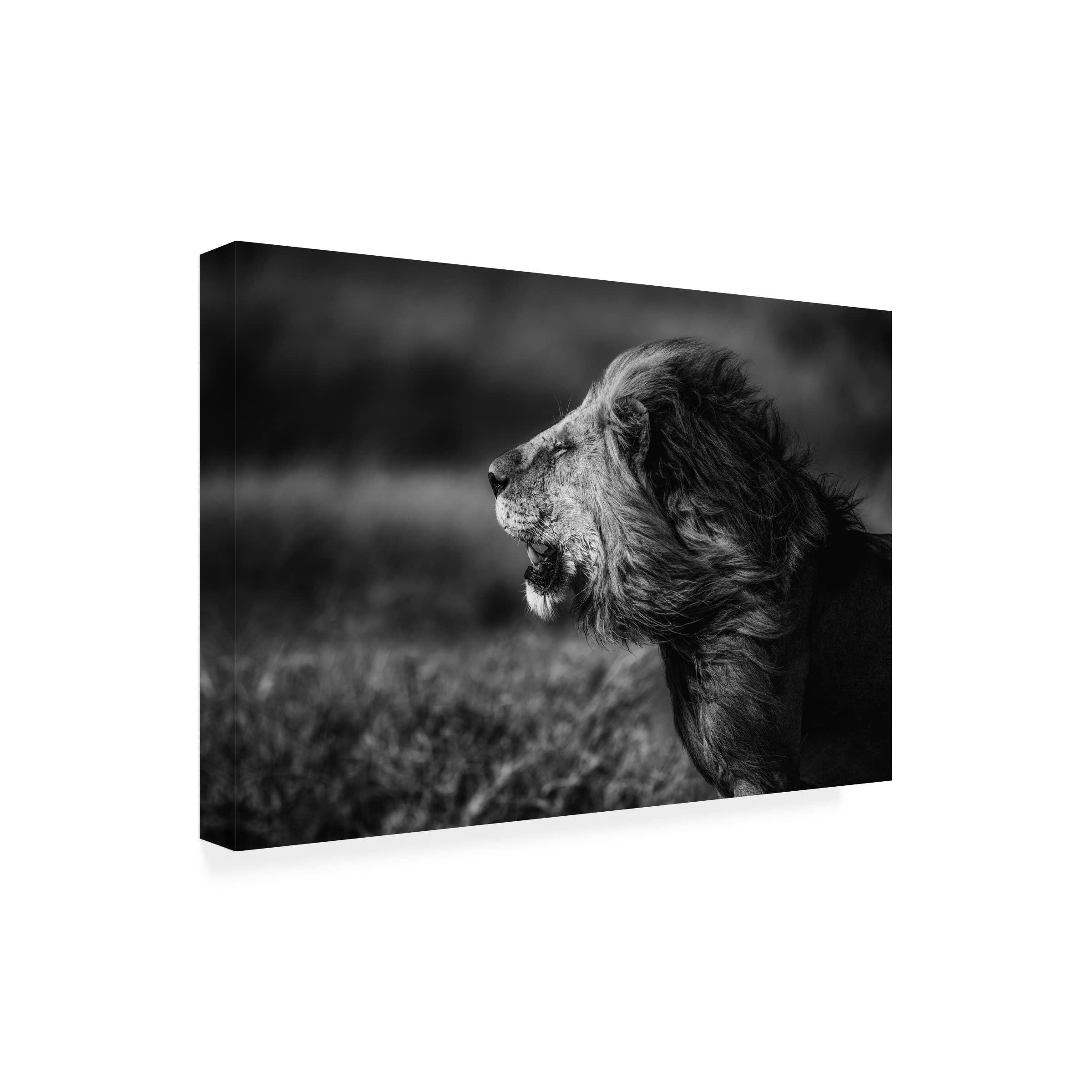 Trademark Fine Art 'Breeze' Canvas Wall Art Painting by Mohammed Alnaser - Modern Home Decor for Living Room, Bedroom & Office