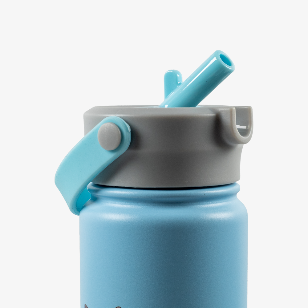 Joy Sports Water Bottle - Leak Proof, BPA Free, 24oz Insulated Stainless Steel Bottle for Gym, Running, Hiking & Outdoor Activities