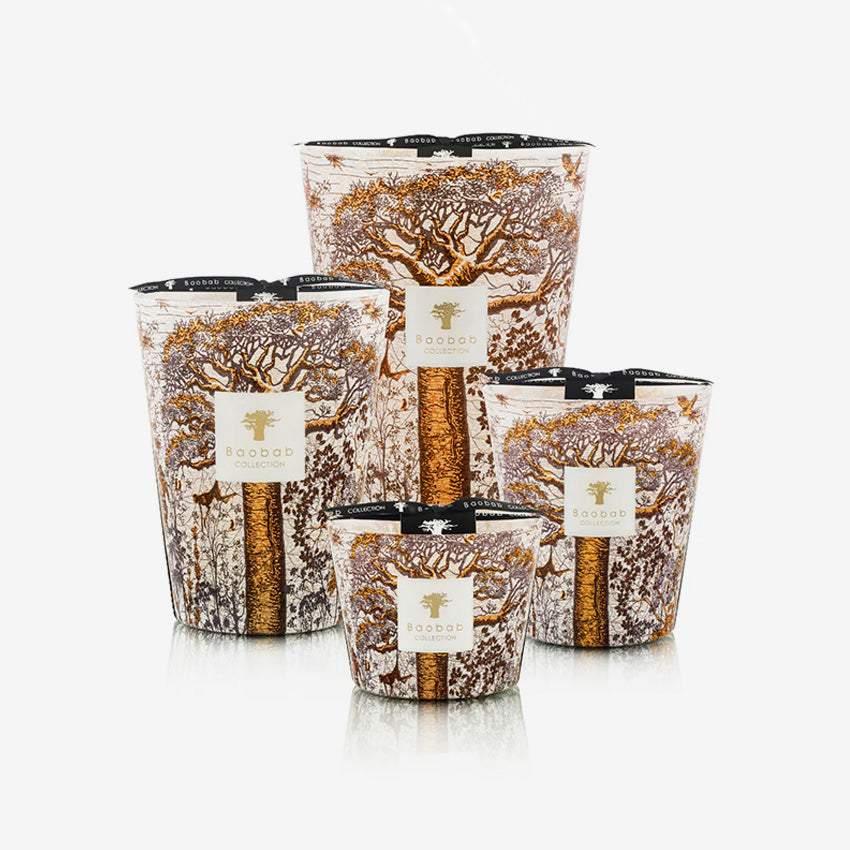 Baobab Collection Sacred Trees Dualla - Luxury Home Fragrance Diffuser for Living Room, Bedroom & Office | Premium Scented Oil Reed Diffuser Set for Aromatherapy & Relaxation