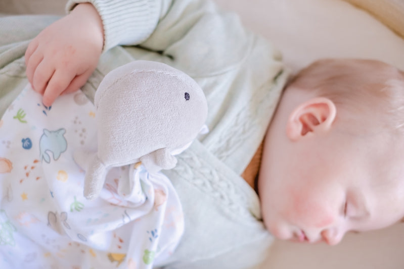 Organic Cotton Comforter with Whale Design - Tikiri Ocean Collection | Soft & Hypoallergenic Bedding for Kids & Adults | Perfect for Nursery, Bedroom, and Coastal-Themed Decor