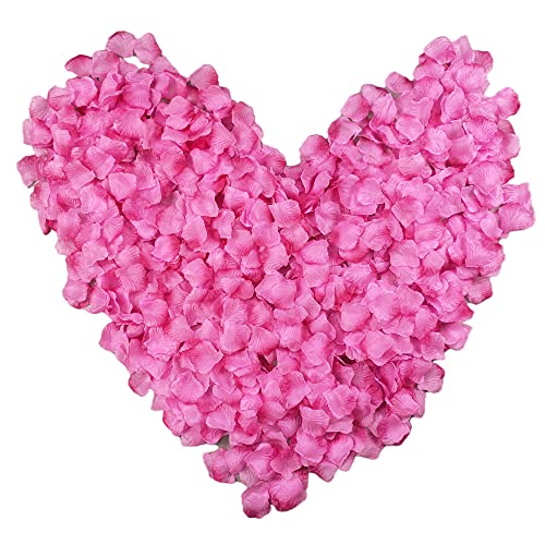 Pink Gradient Color-21