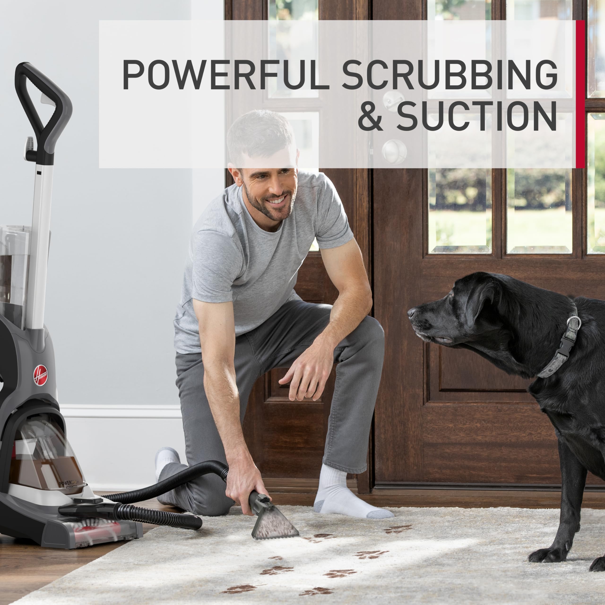 Hoover PowerDash Pet Advanced Compact Carpet Cleaner Machine for Pet Hair & Stains - Lightweight Carpet Shampooer with Above Floor Cleaning - Perfect for Homes with Pets, Kids & High-Traffic Areas - Use with Hoover Cleaning Solution for Fresh, Bright Carpets