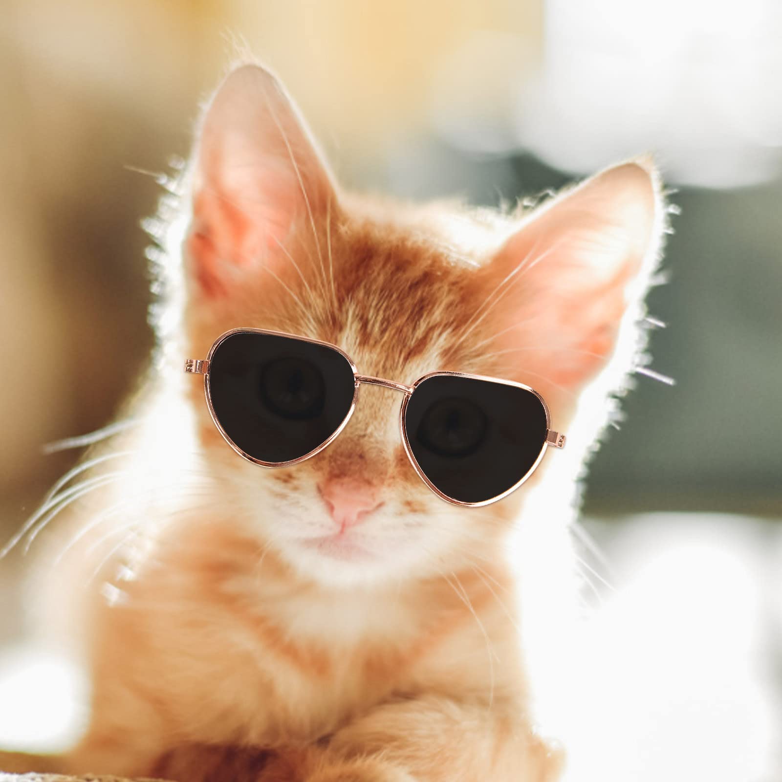 Clear Dog Sunglasses for Small Dogs & Cats - UV Protection Pet Glasses for Teddy, Puppy - Stylish Pet Jewelry & Accessories for Outdoor Walks, Beach & Sunny Days