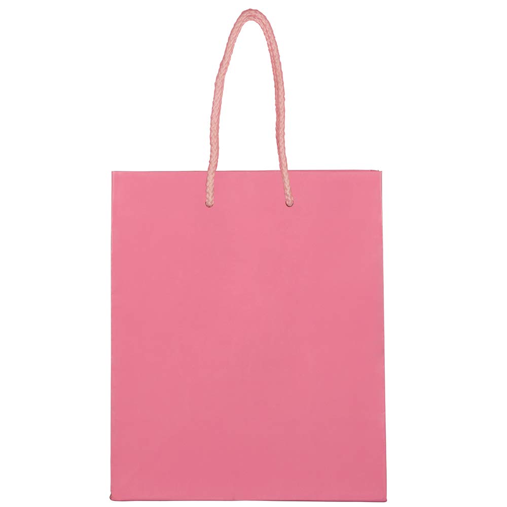 JAM Paper Glossy Gift Bags with Rope Handles - Medium Size 8