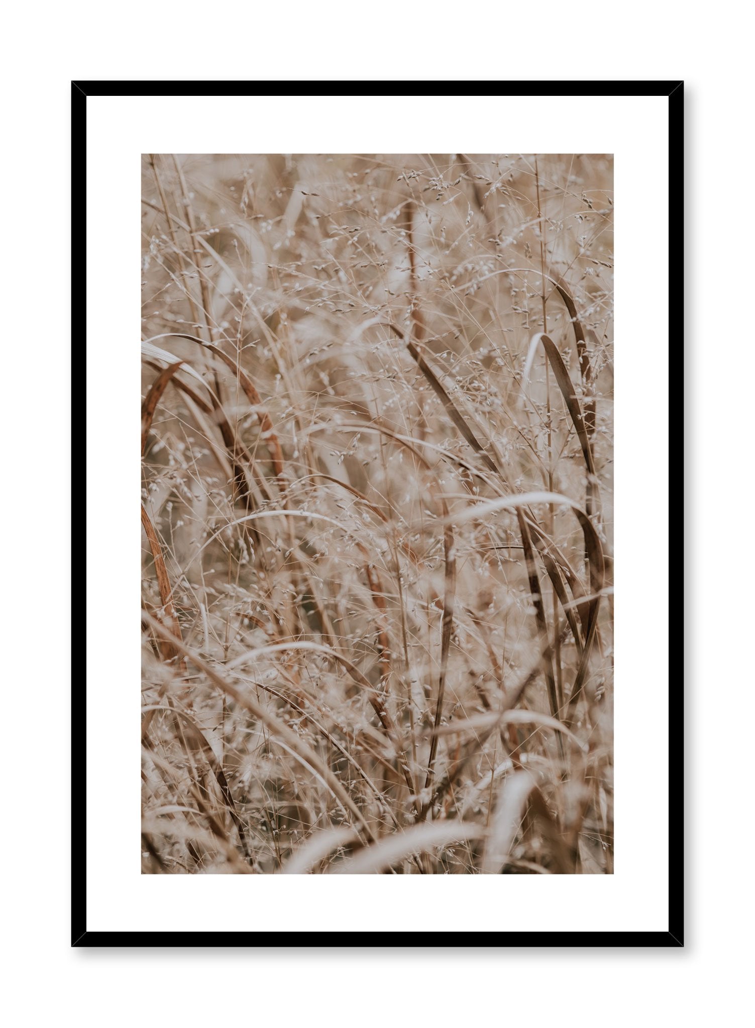 Prairie Grasses Wall Art Poster - Natural Landscape Decor for Home, Office & Classroom - Perfect for Nature Lovers & Botanical Enthusiasts