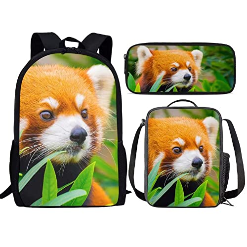 A Red Panda
