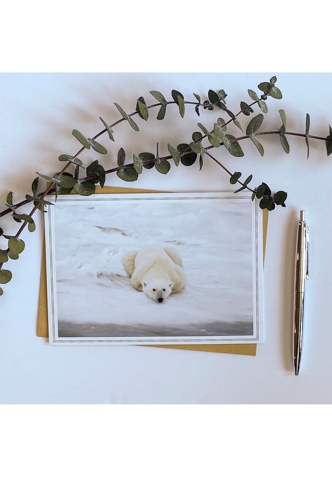 From My Angle Photography Notecards - Premium Photo Note Cards for Greetings, Thank You Notes & Special Occasions | Perfect for Birthdays, Weddings & Holidays