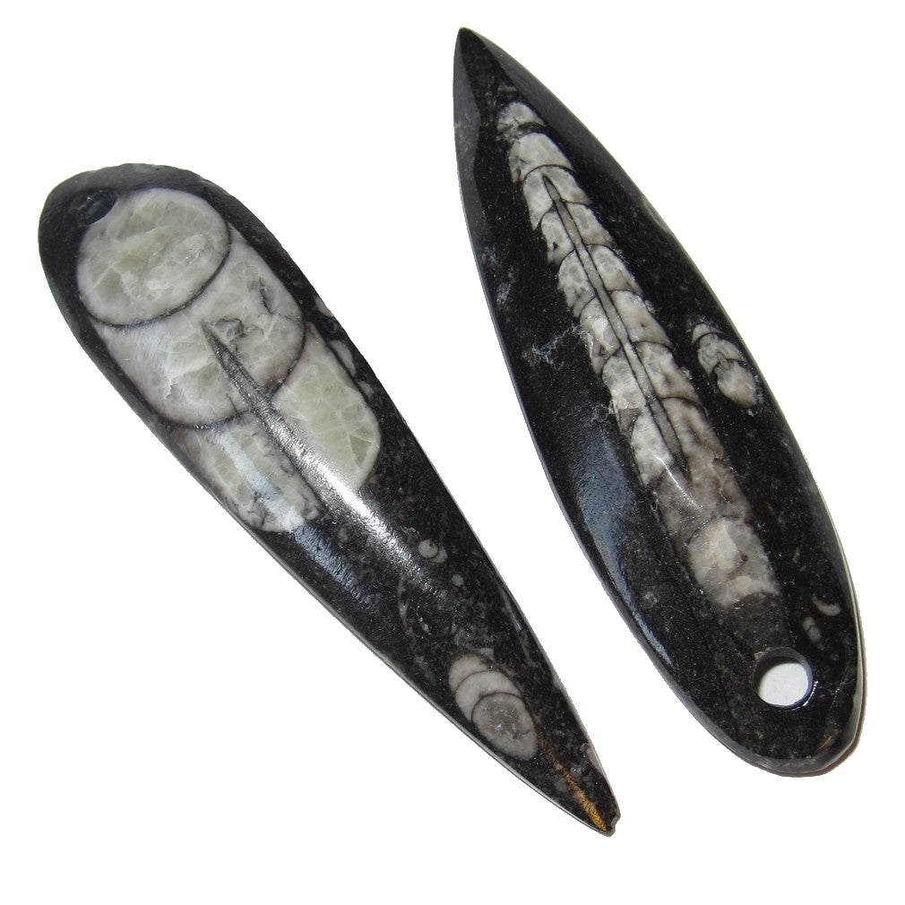 Fossil Mini Wand Pendant Necklace Set - Past Life Journey Crystal Amulet for Meditation & Spiritual Healing | Perfect for Reiki, Chakra Balancing & Energy Work