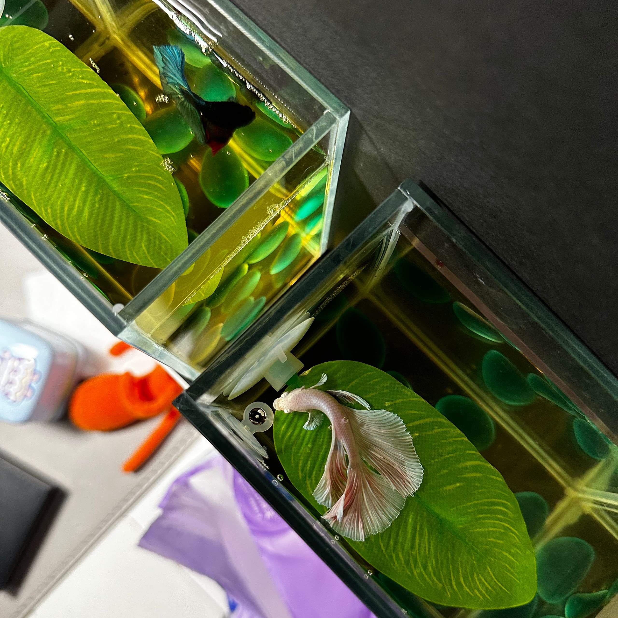 DOBA No Wire Betta Bed Leaf Hammock - 2 Pack Silk Betta Fish Leaf Hammock Pad with Realistic Design, Lightweight Aquarium Plant Decor for Fish Tank Hideout & Resting Spot - Perfect for Betta Fish Toys and Aquarium Decorations (Green)
