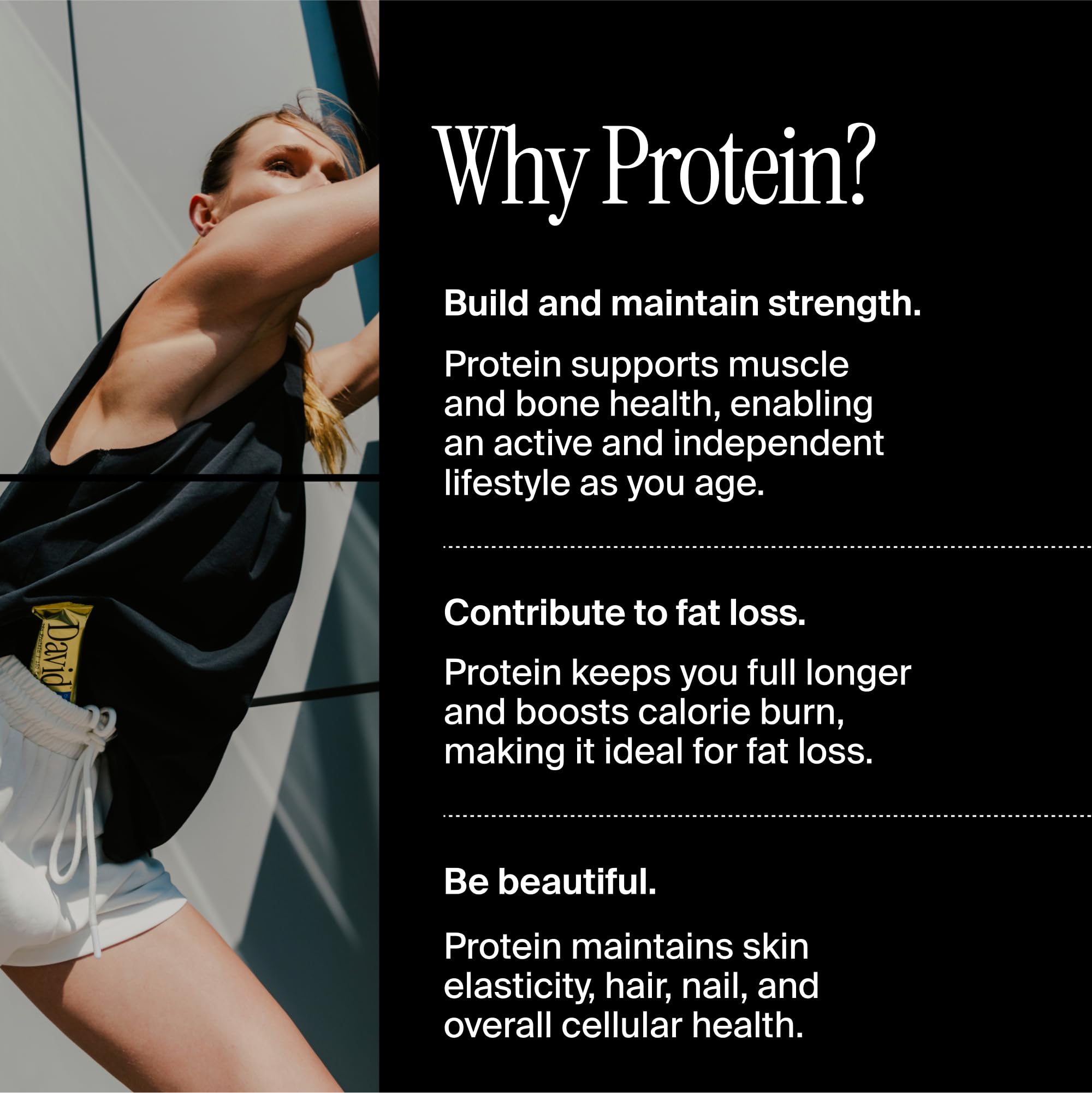 David Protein Bar - Blueberry Pie Flavor, Pack of 12 | 28g High Protein, 150 Calories, 0g Sugar | Low Carb, Gluten Free Snack for Weight Loss & Muscle Recovery | Perfect for Gym, Hiking & On-the-Go Nutrition