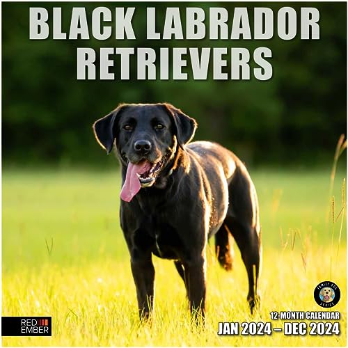 05 - Black Labs