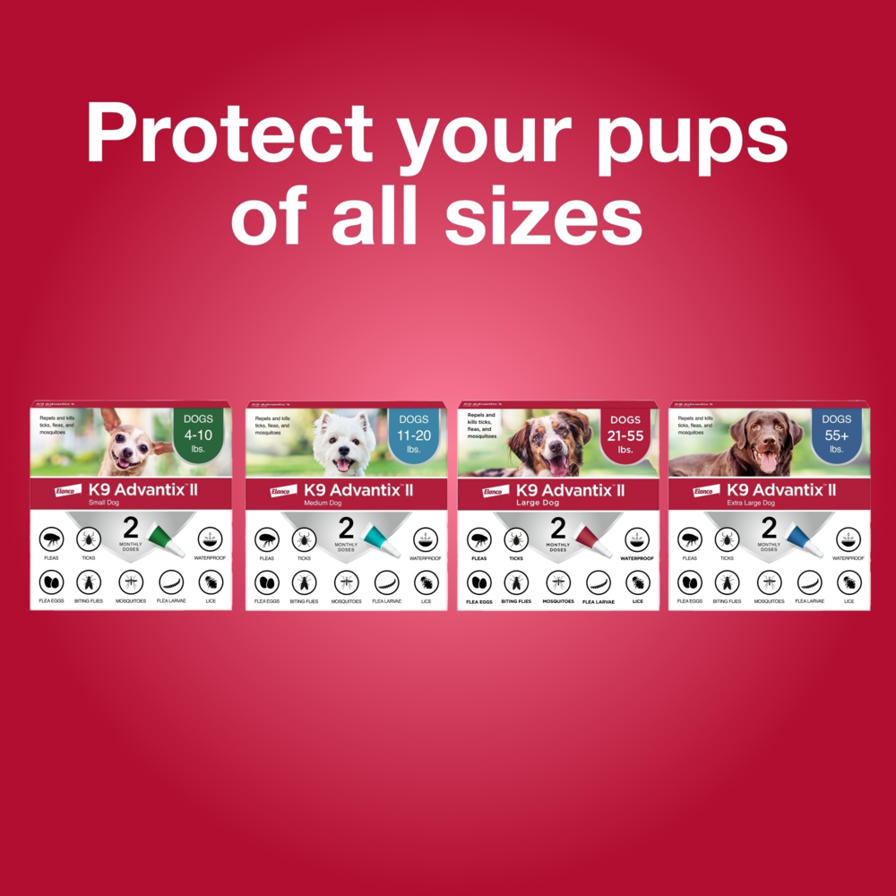 Elanco K9 Advantix II Flea & Tick Prevention for Extra Large Dogs - Vet-Recommended Protection for Dogs Over 55 lbs | Outdoor & Indoor Use for Active Pets