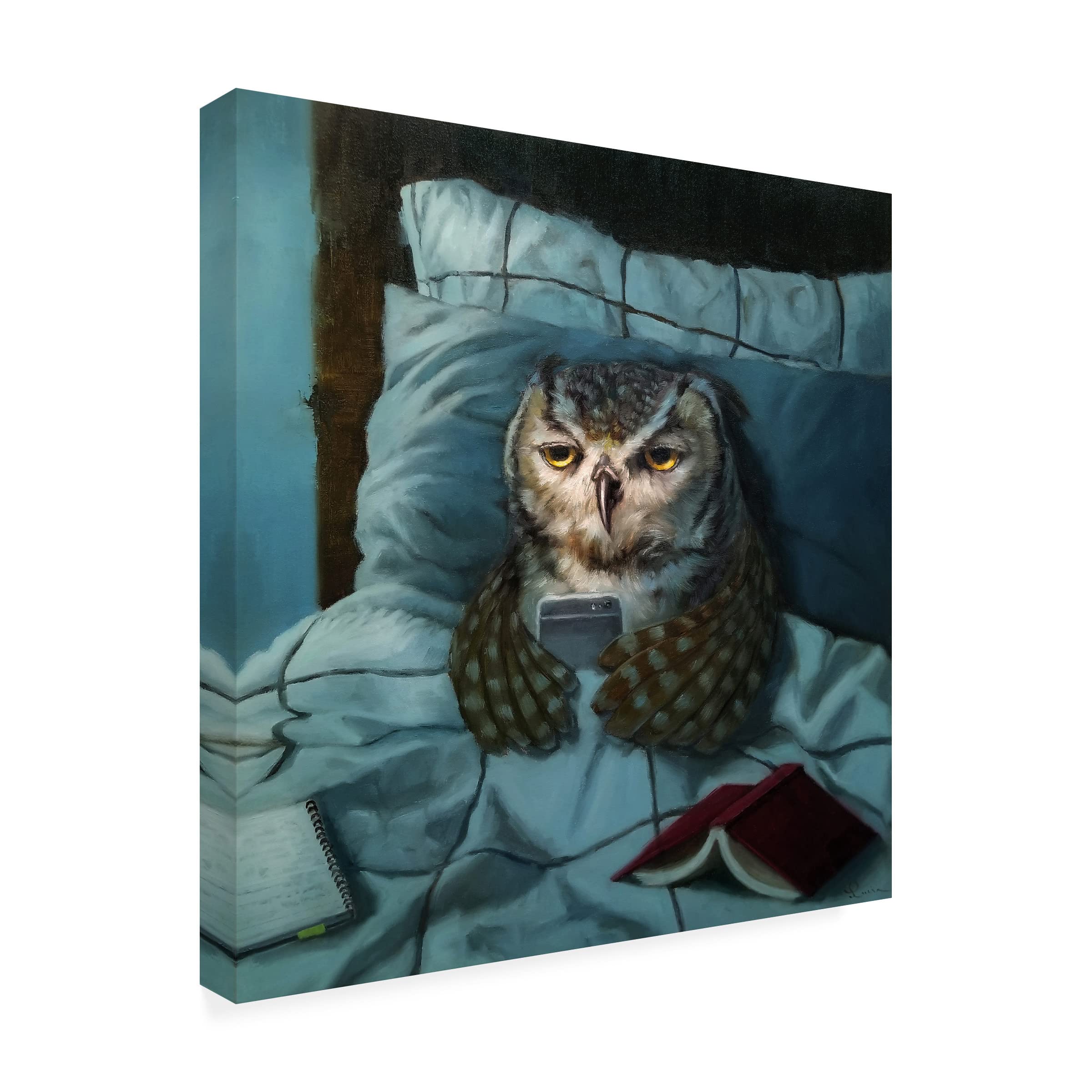 Trademark Fine Art 'Night Owl' Canvas Art by Lucia Heffernan - Whimsical Animal Painting for Home Decor, Office & Nursery Wall Art - Perfect Gift for Art Lovers & Owl Enthusiasts