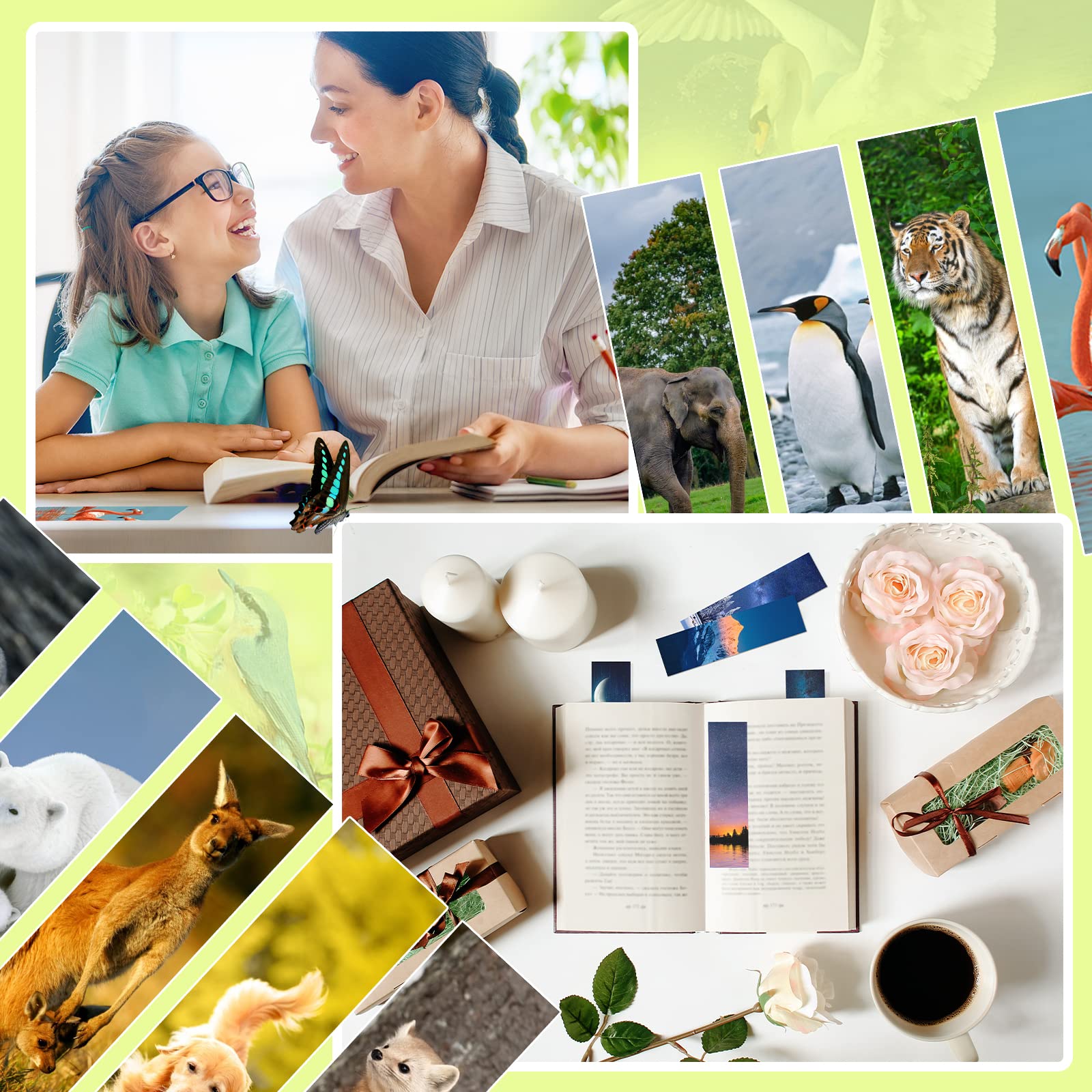 300PCS Bulk Animal Bookmarks for Kids - 60 Unique Wildlife Designs, Double-Sided Cute Book Markers for Students, Classroom Rewards & Gifts | Perfect for Reading Incentives, School Prizes & Book Lovers
