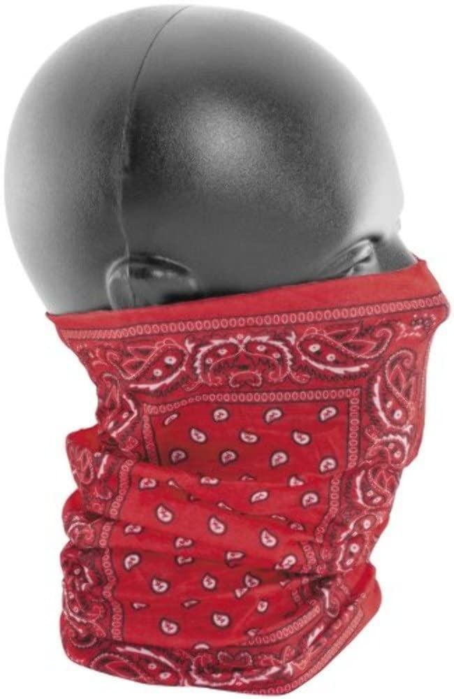 Zanheadgear® Motley Tube® Gaiter - Breathable Polyester Neck Warmer in Red Paisley Print for Outdoor Sports, Hiking, Cycling & Winter Protection