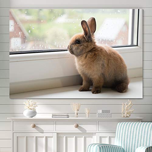 Modern Multicolor Rabbit Canvas Wall Art for Bedroom - 12x18 Inches Expressionist Animal Photography Print, Bunny Decor for Relaxation & Calm - Perfect for Nursery, Living Room or Home Office Decor