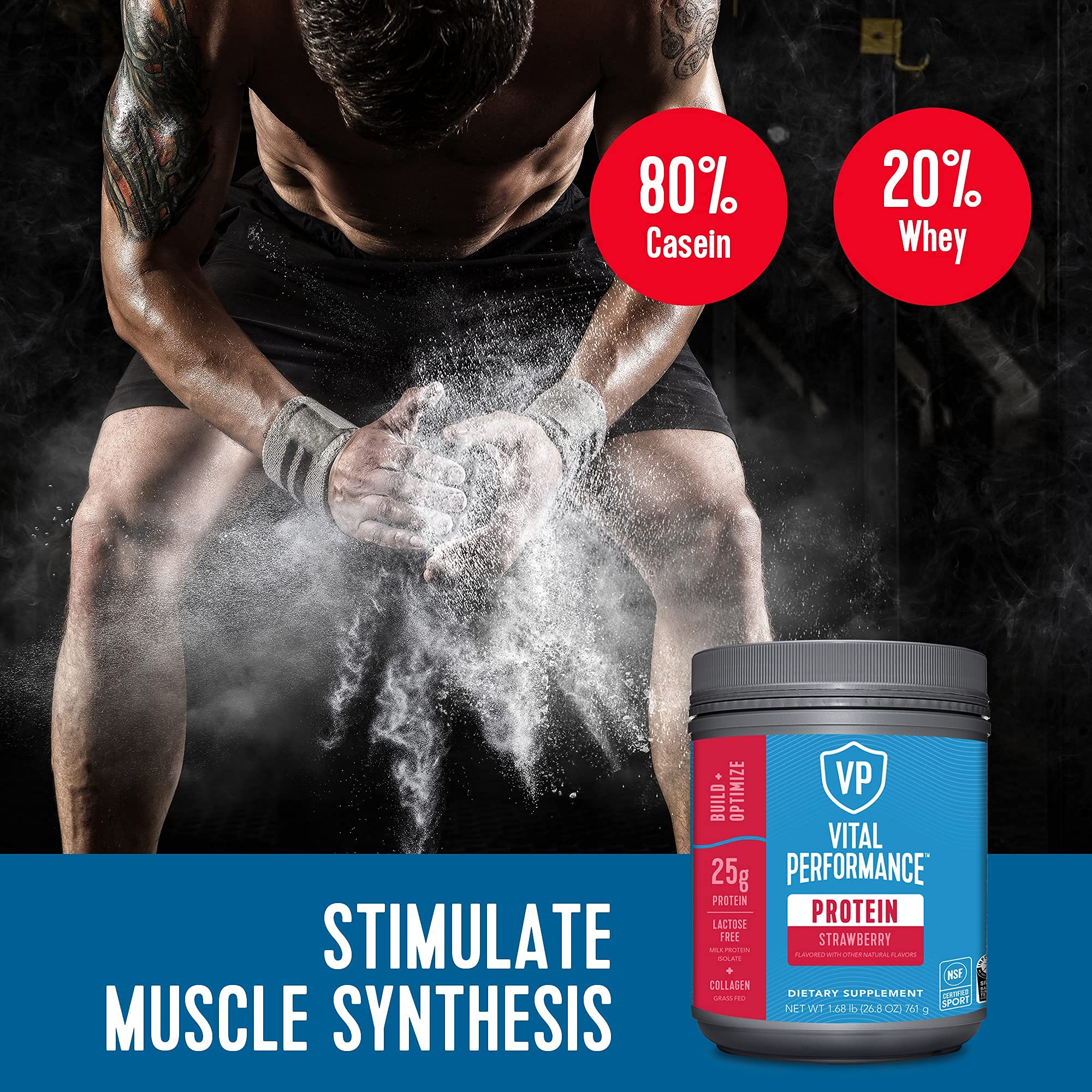 Vital Proteins Performance Protein Powder - 1.68lb, Lactose-Free Milk Isolate Casein & Whey Blend with 10g Grass-Fed Collagen Peptides, 8g EAAs, 5g BCAAs | Gluten-Free, Strawberry Flavor | Post-Workout Recovery, Muscle Growth & Daily Nutrition Supplement