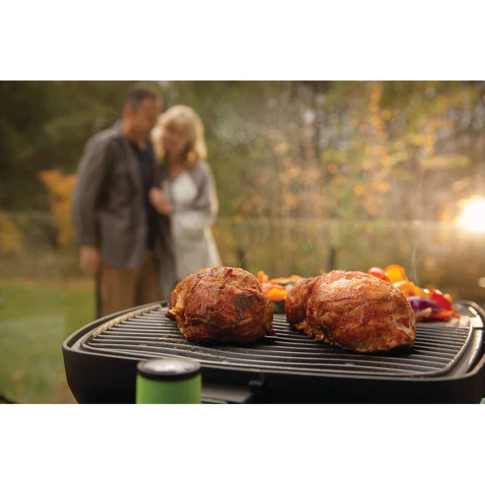 Napoleon TravelQ PRO285E Portable Electric Grill - Compact & Lightweight for Tailgating, Camping, RV Trips & Small Outdoor Cooking | Perfect for BBQs, Picnics & Backyard Gatherings