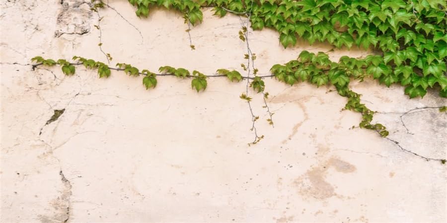 Vintage Cement Wall Reptile Terrarium Background 48x24 Inch - Green Leaves Vine Creepers Habitat Decor for Bearded Dragons, Lizards & Aquariums | Perfect for Reptile Tanks, Fish Tanks & Vivarium Setups