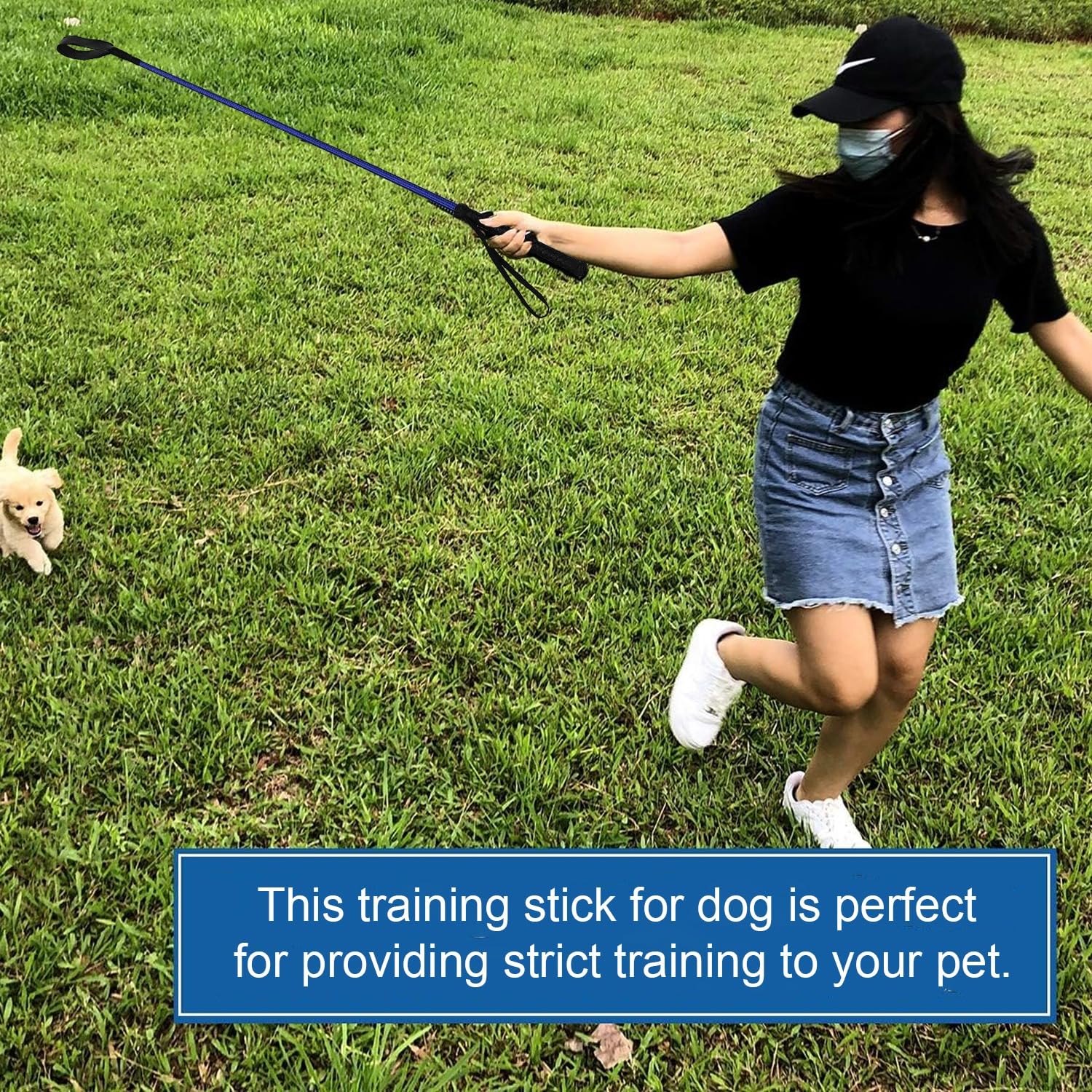 D&C PAWS Dog Training Stick - Adjustable Walking Stick for Hunting & Obedience Training, Multi-Color (Perfect for Outdoor Adventures & Professional Dog Training)