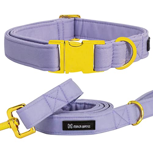 set-violet