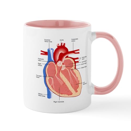 White/Pink Inside - Human Heart Anatomy Mug