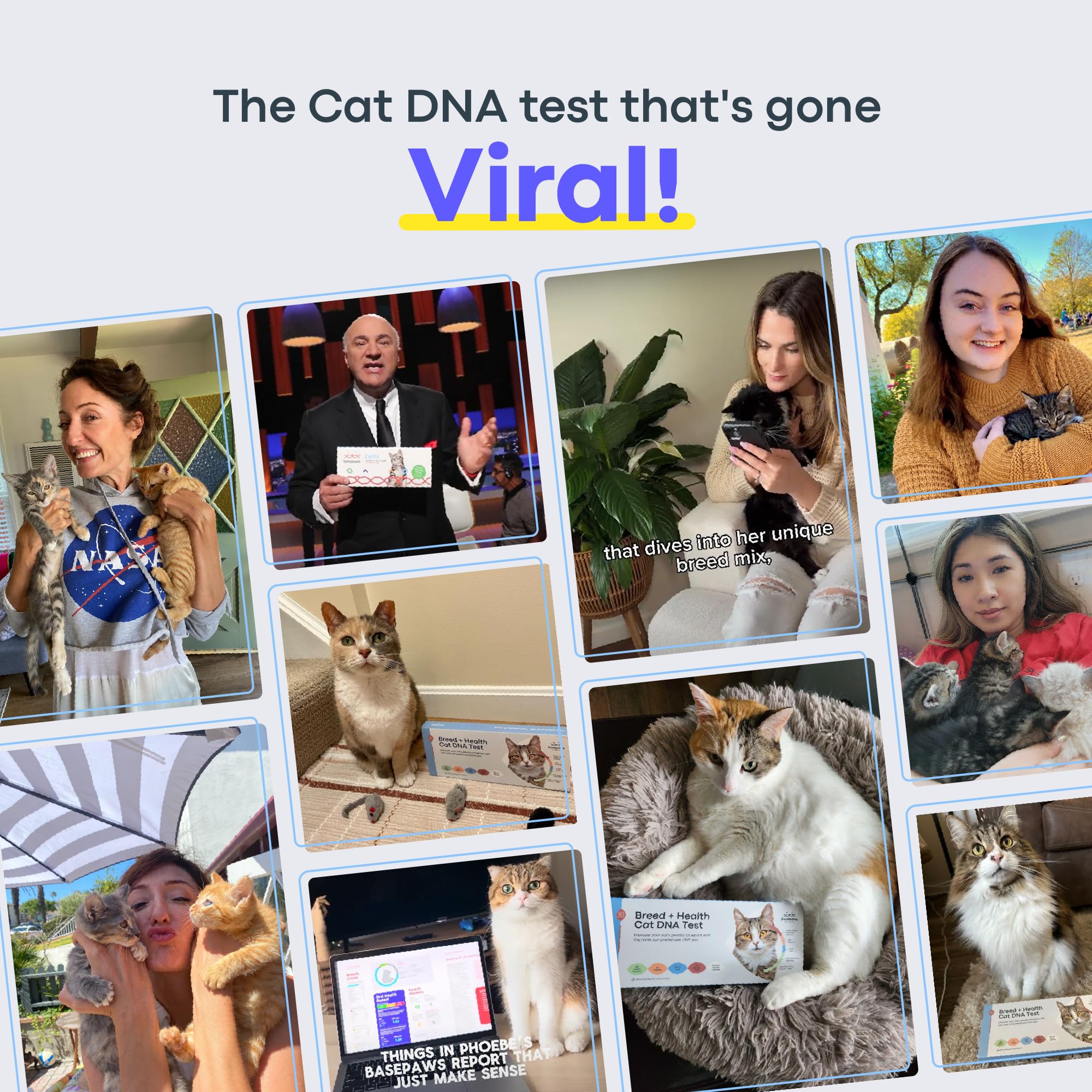 Basepaws Cat DNA Test Kit 2 Pack - Comprehensive Breed, Health & Dental Analysis for 114 Traits | Accurate Genetic Testing for Feline Ancestry & Wellness | Perfect for Multi-Cat Households & Veterinary Checkups