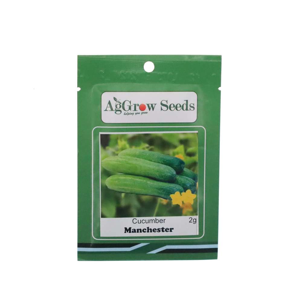 Premium AgGrow Manchester Cucumber Seeds 2g - High Yield, Disease-Resistant for Home Gardening, Greenhouses & Organic Farming | Perfect for Salads, Pickling & Fresh Eating