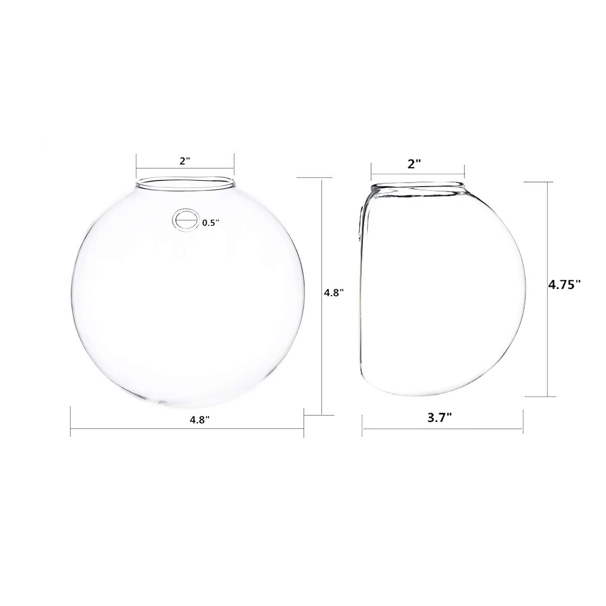 6 Pack Round Glass Wall Hanging Planters - Air Plant Terrariums & Flower Vase for Indoor/Outdoor Decor - Perfect for Succulents, Herbs & Home Garden Display